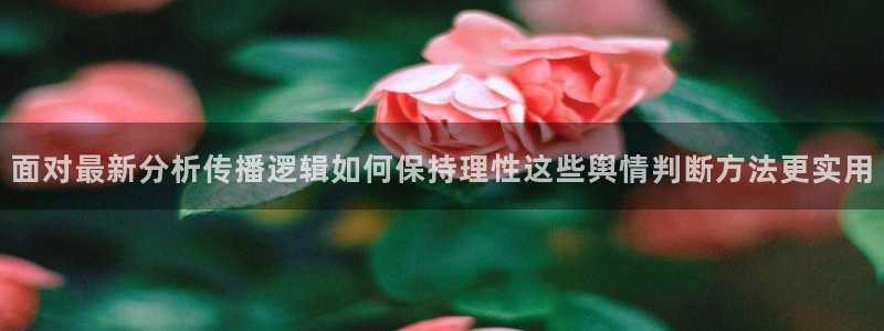 91吃瓜视频:面对最新分析传播逻辑如何保持理性这些舆情判断方法更实用