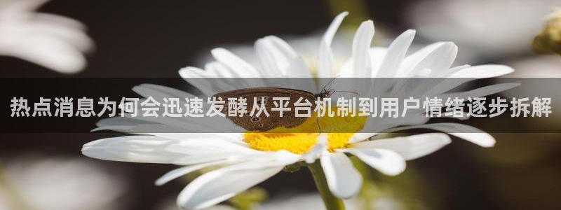 51吃瓜网轻量版