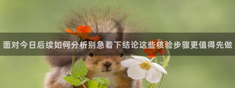 黑料吃瓜:面对今日后续如何分析别急着下结论这些核验步骤更值得先做