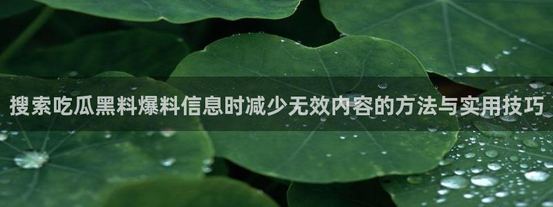 黑料吃瓜网：搜索吃瓜黑料爆料信息时减少无效内容的方法与实用技巧