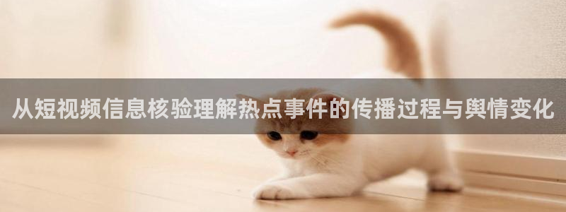 911爆料吃瓜：从短视频信息核验理解热点事件的传播过程与舆情变化