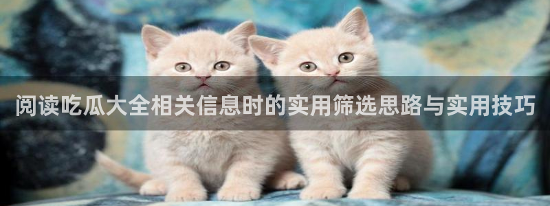 17吃瓜网:阅读吃瓜大全相关信息时的实用筛选思路与实用技巧