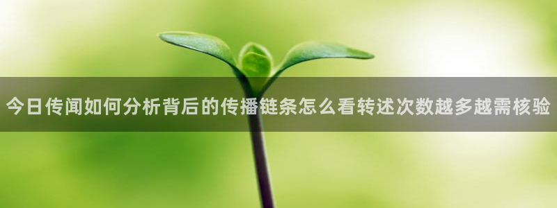 吃瓜网入口:今日传闻如何分析背后的传播链条怎么看转述次数越多越需核验